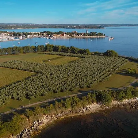 Tina Novigrad Istria