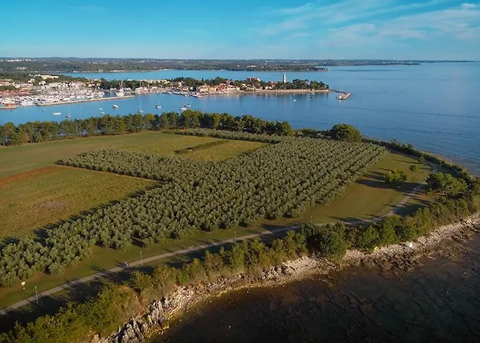 Tina Novigrad Istria