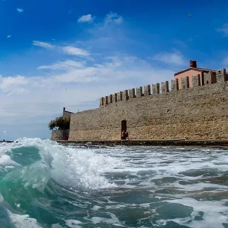 Tina Novigrad (Istria)